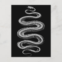 Slithering Snake Skeleton