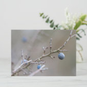 Sloe Berries Nature Foto Card (Stehend Vorderseite)
