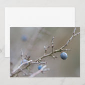 Sloe Berries Nature Foto Card (Vorne/Hinten)