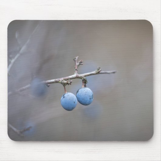 Sloe Berries Nature Foto Mousepad (Vorne)