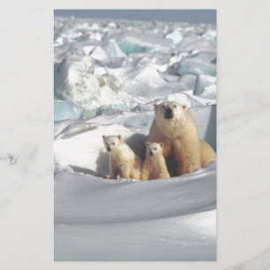 SLOGAN hinzufügen, um Polarbären auf dem Planeten 