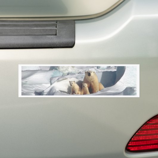 SLOGAN hinzufügen, um Polarbären auf dem Planeten Autoaufkleber (Auf Auto)