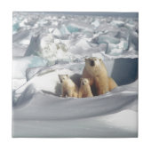 SLOGAN hinzufügen, um Polarbären auf dem Planeten  Fliese (Vorderseite)