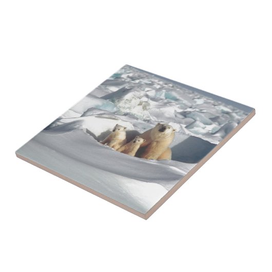 SLOGAN hinzufügen, um Polarbären auf dem Planeten  Fliese (Seite)