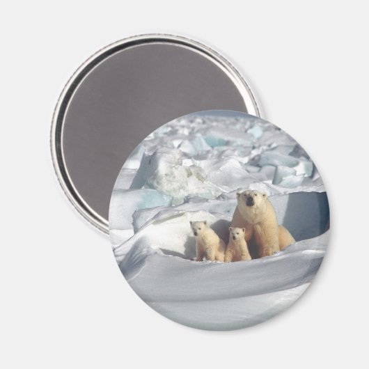 SLOGAN hinzufügen, um Polarbären auf dem Planeten  Magnet (Vorderseite/Rückseite)