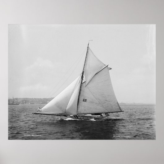 Sloop Banshee Poster (Vorne)