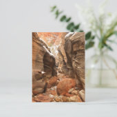 Slot Canyon im Zion-Nationalpark Postkarte (Stehend Vorderseite)