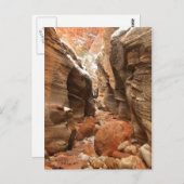 Slot Canyon im Zion-Nationalpark Postkarte (Vorne/Hinten)