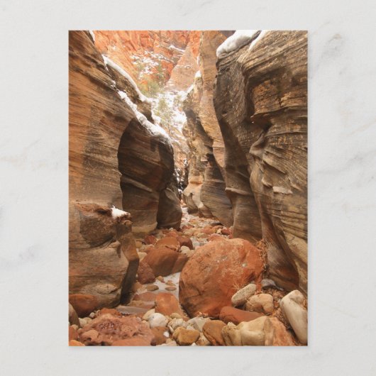 Slot Canyon im Zion-Nationalpark Postkarte (Vorderseite)