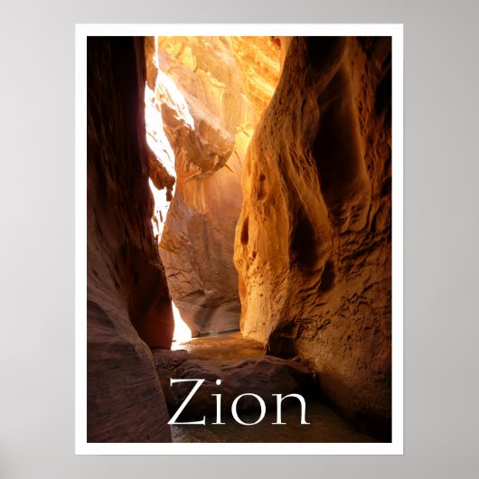Slot Canyon, Zion National Park, Utah Poster (Vorne)