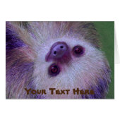 Sloth (Vorderseite (Horizontal))