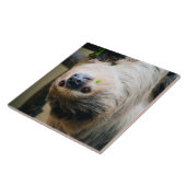Sloth 001 fliese (Seite)