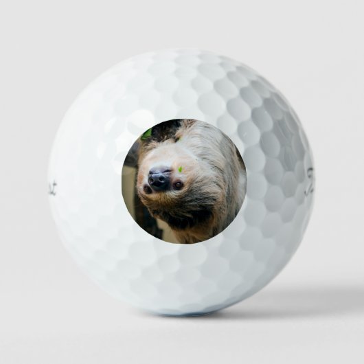 Sloth 001 golfball (Vorderseite)
