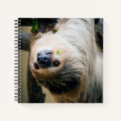 Sloth 001 notizblock (Vorderseite)