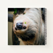 Sloth 001 notizblock (Rückseite)