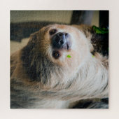 Sloth 001 puzzle (Horizontal)