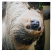 Sloth 005 fliese (Vorderseite)