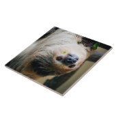 Sloth 005 fliese (Seite)