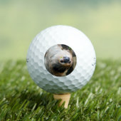 Sloth 005 golfball (Insitu T-Shirt)