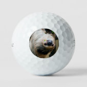 Sloth 005 golfball (Vorderseite)