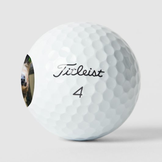 Sloth 005 golfball (Logo)