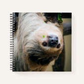 Sloth 005 notizblock (Vorderseite)