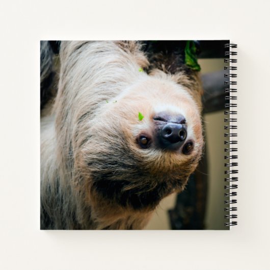 Sloth 005 notizblock (Rückseite)