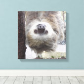 Sloth 12" x 12" Canvas Print Leinwanddruck (Insitu (Holzboden))
