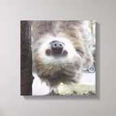 Sloth 12" x 12" Canvas Print Leinwanddruck (Vorderseite)