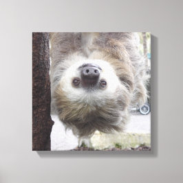 Sloth 12" x 12" Canvas Print Leinwanddruck