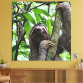 Sloth_20171101_by_JAMFoto Leinwanddruck (Insitu (Wohnzimmer))