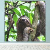 Sloth_20171101_by_JAMFoto Leinwanddruck (Insitu (Holzboden))