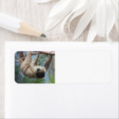 Sloth Address Labels (Insitu)
