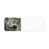 Sloth Address Labels (Vorne)
