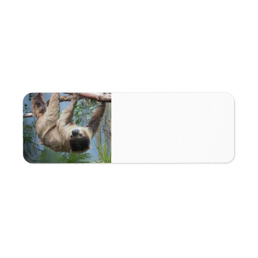 Sloth Address Labels (Vorne)