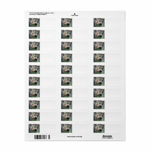 Sloth Address Labels (Vorne)