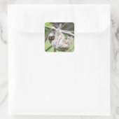 Sloth-Aufkleber Quadratischer Aufkleber (Tasche)