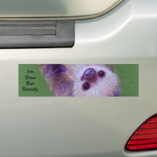 Sloth Autoaufkleber (Auf Auto)