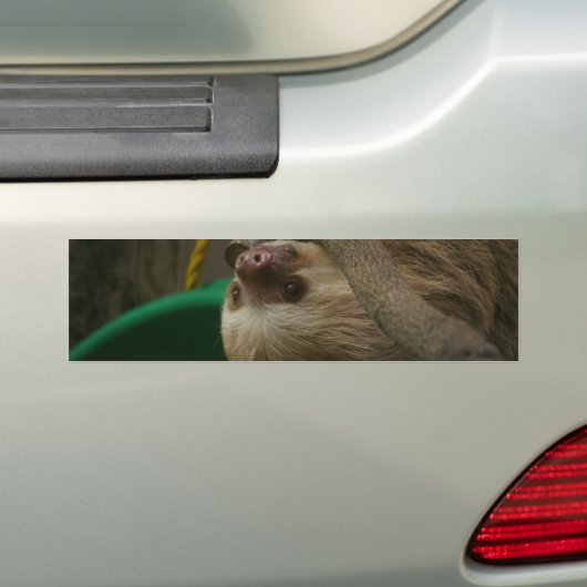 Sloth Autoaufkleber (Auf Auto)