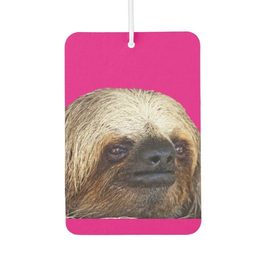 Sloth Autolufterfrischer (Vorderseite)