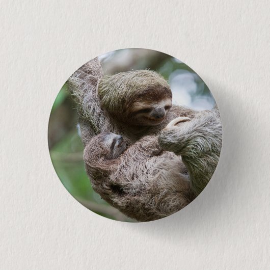 Sloth Baby mit Mutter, die von einem Baum hängt Button (Vorderseite)
