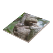 Sloth Baby mit Mutter, die von einem Baum hängt Fliese (Seite)