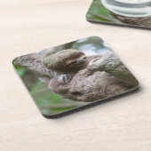 Sloth Baby mit Mutter, die von einem Baum hängt Getränkeuntersetzer (Linke Seite)