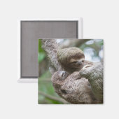 Sloth Baby mit Mutter, die von einem Baum hängt Magnet (Vorderseite/Rückseite)