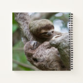 Sloth Baby mit Mutter, die von einem Baum hängt Notizblock (Rückseite)