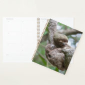 Sloth Baby mit Mutter, die von einem Baum hängt Planer (Anzeige)