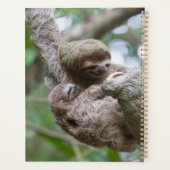 Sloth Baby mit Mutter, die von einem Baum hängt Planer (Rückseite)
