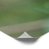 Sloth Baby mit Mutter, die von einem Baum hängt Poster (Ecke)