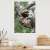 Sloth Baby mit Mutter, die von einem Baum hängt Poster (Küche)