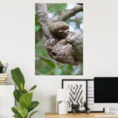 Sloth Baby mit Mutter, die von einem Baum hängt Poster (Heimbüro)